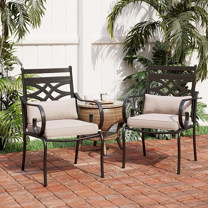 PHI VILLA Patio Dining Chairs Set of 2, Outdoor Chairs with Cushion and Pillow for Garden Lawn and Deck
