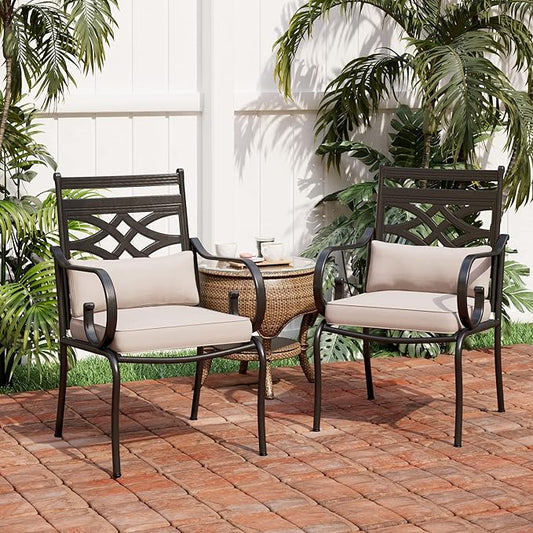 PHI VILLA Patio Dining Chairs Set of 2, Outdoor Chairs with Cushion and Pillow for Garden Lawn and Deck