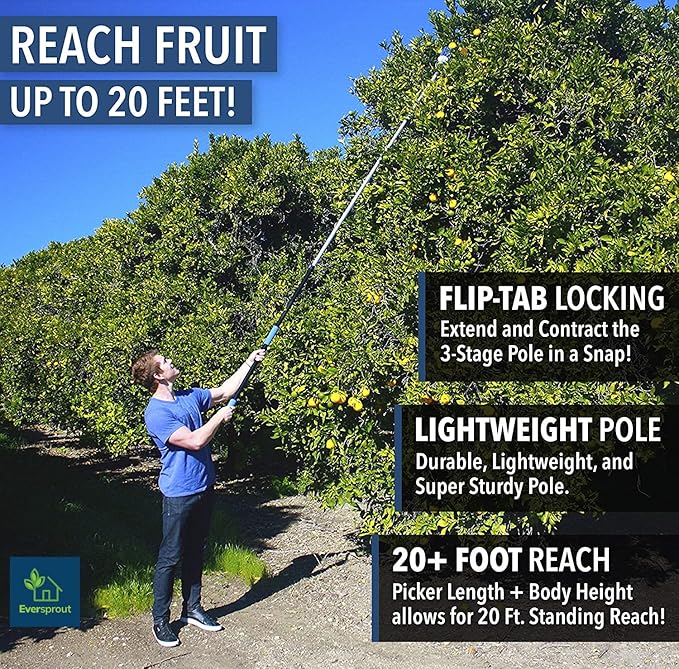 EVERSPROUT 4.5-to-12ft Durable Fruit Picker with 20+ Foot Reach – Telescoping Fruit Picker Pole, Lightweight Twist-On Fruit Picking Tool with Basket, Aluminium Extension Pole for Tree Fruit Harvesting