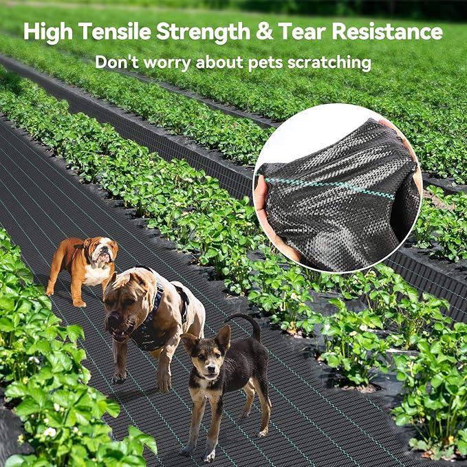 4ftx300ft Weed Barrier Landscape 3.2oz Fabric Heavy Duty, Woven Weed Control Cloth, Woven Geotextile Fabric for Underlayment, Gardening Ground, Commercial Driveway Weed Block Cover Mat