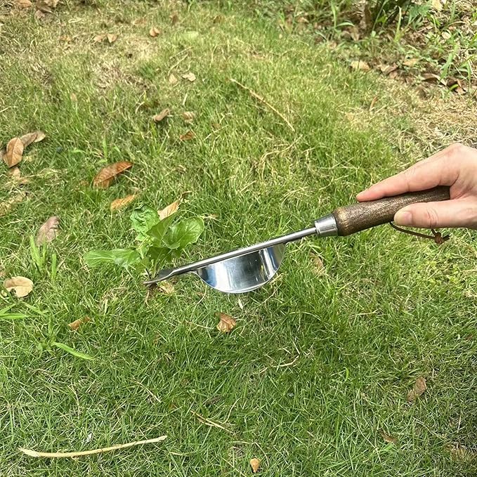 Garden Crevice Weeding Tool Wood Handle Driveway & Sidewalks
