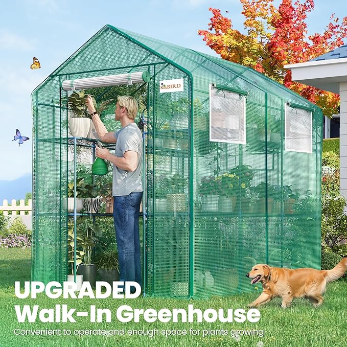 KING BIRD Premium Greenhouse for Outdoors, 84 x 56 x 77 Upgraded PE Cover & Steel Frame Walk in Hot House, w/ Zippered Screen Windows Mesh Door, 3 Tiers 20 Shelves for Outside Garden, Green