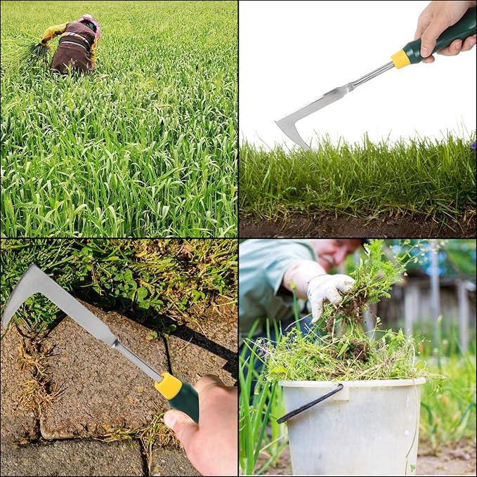 2 Pack 13" Crack Weeder Crevice Weeding Tool with Garden Gloves, Stainless Steel Manual Weeder Lawn Yard Gardening Hand Tool (L-Shape)