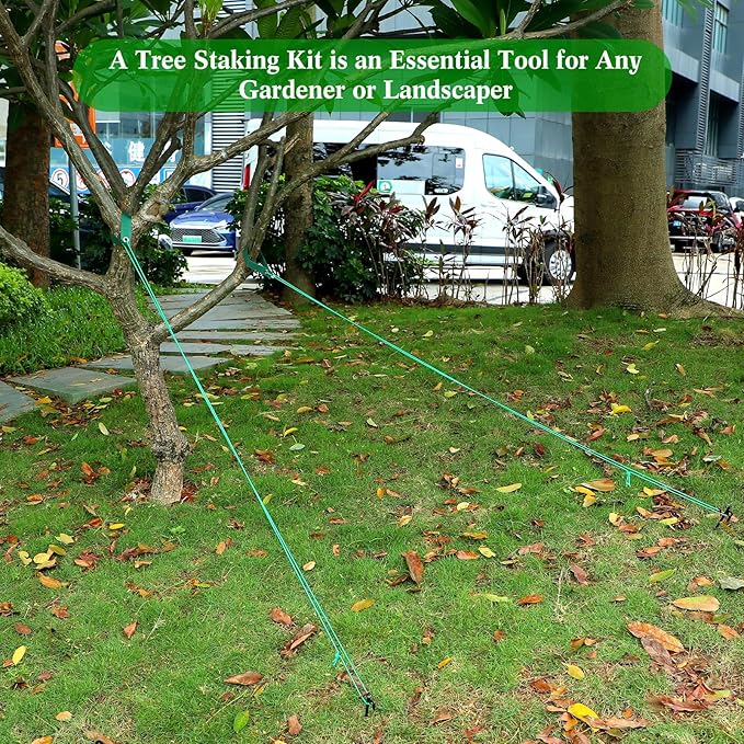 Sintuff 36 Pcs Heavy Duty Tree Stake Kits Stake and Support for Young Leaning Tree Anchor Straightening Kit, 15.8'' Support Straps, 11.8'' Steel Stakes, 13.12ft Rope(Green)