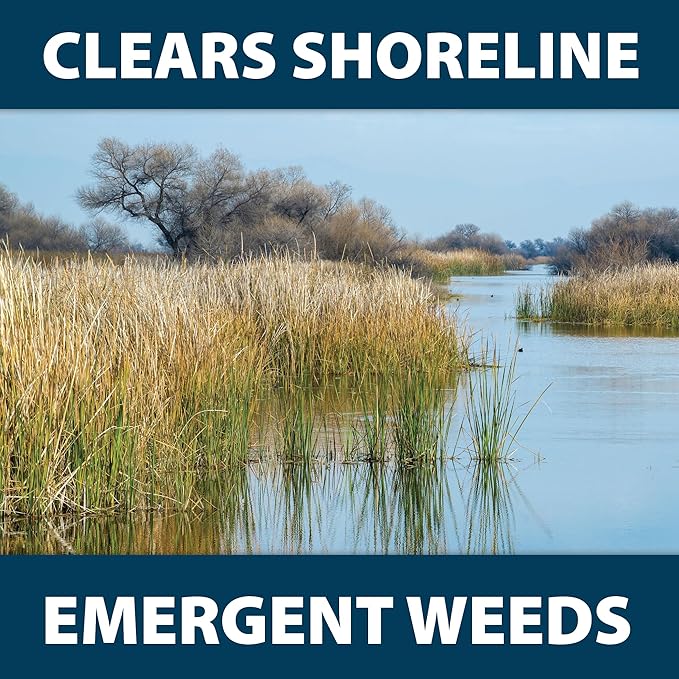 Airmax Shoreline Defense Emergent Weed Control Concentrated Treatment, Aquatic Herbicide (Glyphosate) for Phragmites, Pond Grass & Cattails, 1 Quart