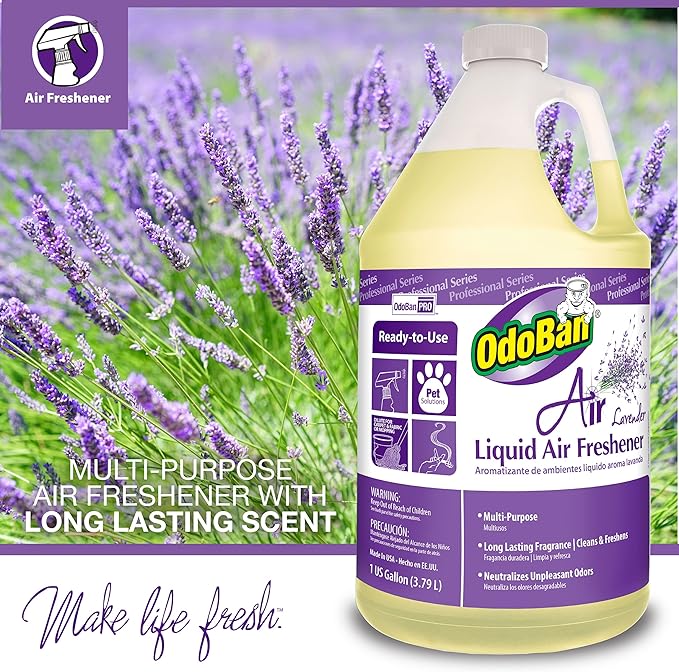 OdoBan Fogmaster Jr. Electric Handheld Fogger and Liquid Air Freshener, 1 Gallon, Lavender Scent