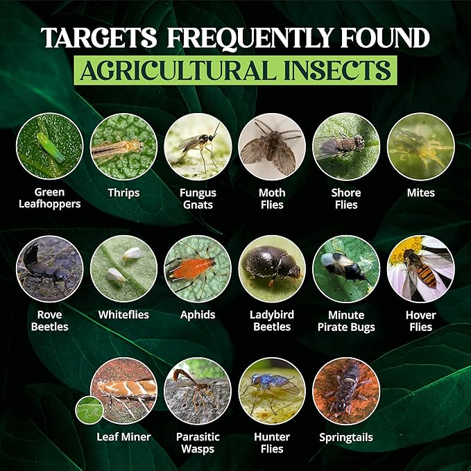 Catchmaster GRO Yellow Pre-Cut Ready to Use Sticky Traps 50PK, Bug & Fly Trap with Center Hole for Crawling Insects, Pest Control for Home, Garden & Greenhouse, Protect Live Plants Indoor & Outdoor