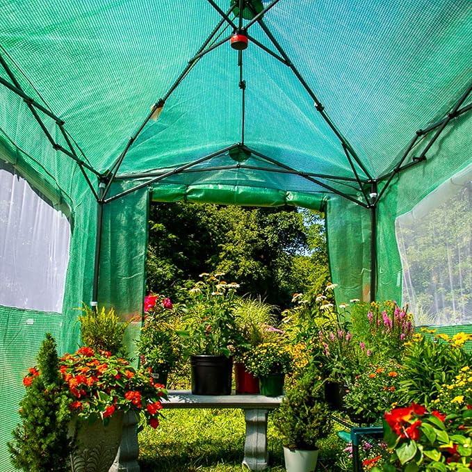 EAGLE PEAK Instant Pop-up Greenhouse, Indoor Outdoor Plant Gardening Green House, Roll-Up Zipper Doors and Side Windows, Walk in 8x6 ft, PE Cover, Green/Clear