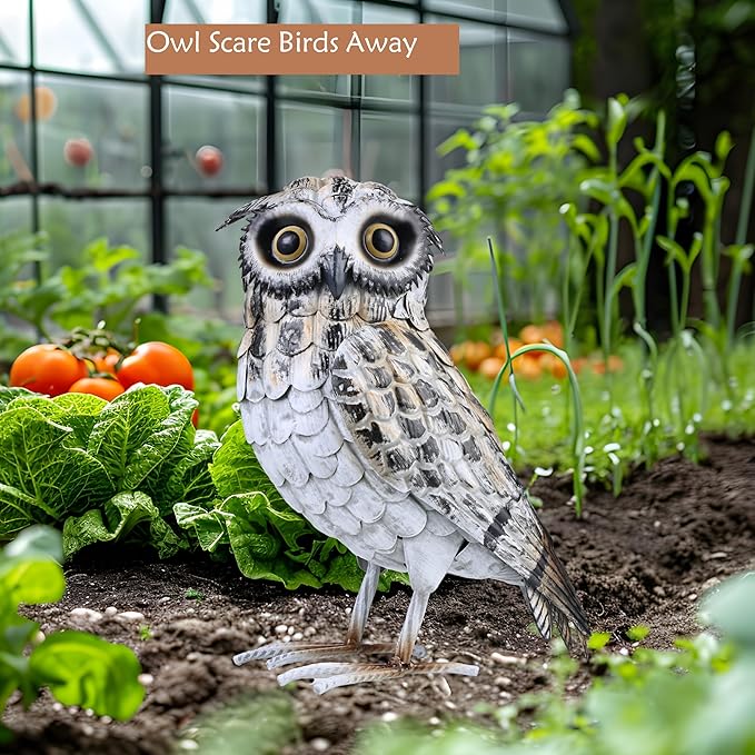 Shorayn Metal Owl Decor Garden Statue Outdoor Sculpture Yard Art for Patio Lawn Backyard Home Decoration Great Gifts