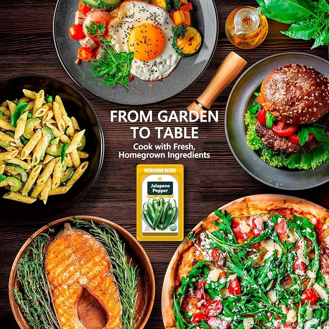 Jalapeno Pepper Seed Pods Kit, 12 Pods Grow Anything Kit for Indoor Hydroponics Growing System, Hydroponics Supplies with 12 Grow Sponges, 12 Plant Baskets, 12 Pod Domes and Labels