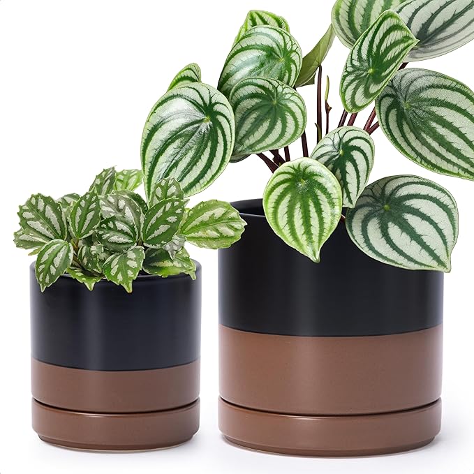 D'vine Dev 4.7 Inch & 6.5 Inch Ceramic Planter Pots for Plants with Drainage Hole and Saucer, Small Plant Pots Set, Black/Speckled Tan, 94-G-S-7