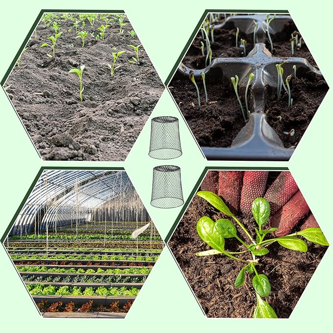 10 Pcs 8inch Chicken Wire Plant Covers Wire Garden Cloches Chicken Wire Cloche Plant Protector Metal Heavy Duty Garden Plant Cloche for Keeping Bunnies Chicken Squirrels Birds Other Out