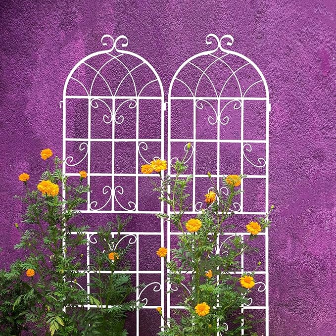 Metal Garden Trellis Rustproof Trellis for Climbing Plants Outdoor Flower Support Butterfly Deco (Cream White-2 Pack, 71"x19.7")