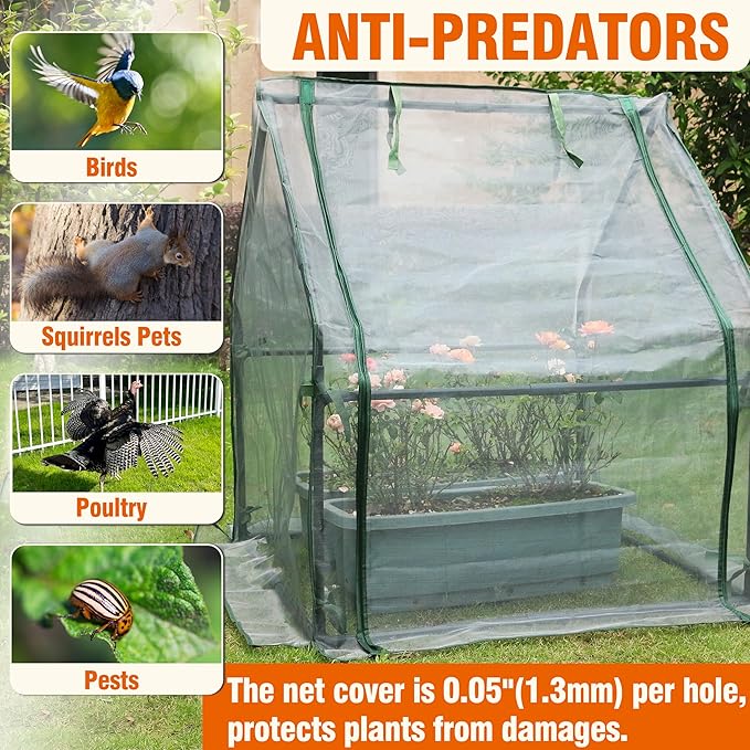 Gardzen Mini Greenhouse with Mesh Cover, Portable Outdoor Greenhouse, Enhanced Ventilation, Ideal for Spring, Summer & Fall 36.2"(L) x36.2(W) x42.5(H)