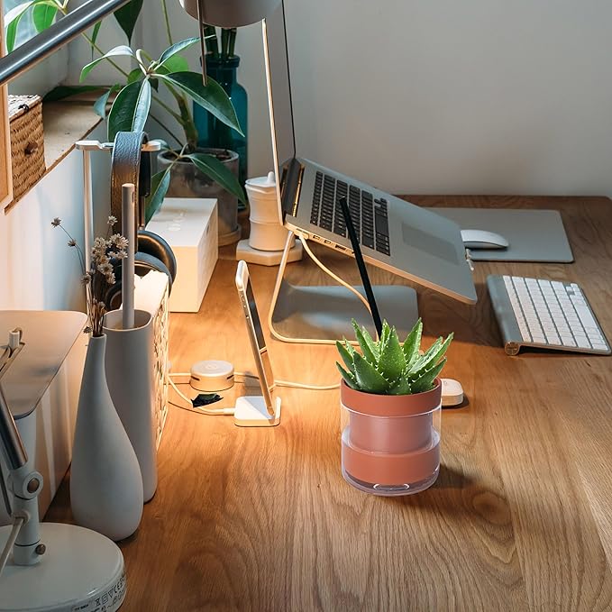 Phoenix Vine 4 Inch Self Watering Planter Pot, Terracotta Clay Pot with Glass Reservoir for Indoor Plants, Herbs, Flowers, Set of 4, 52-A-E-4