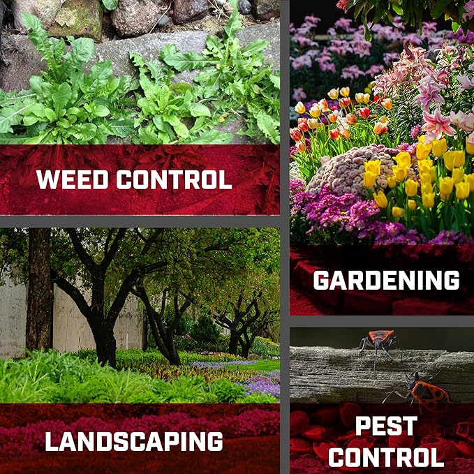 Chapin 20543: Made in The USA 3-Gallon Lawn, Garden and Multi-Purpose Poly Pressure Pump Tank Sprayer, Foaming and Adjustable Nozzles, Fertilizers, Weeds, Pests and Insect Control, Translucent White