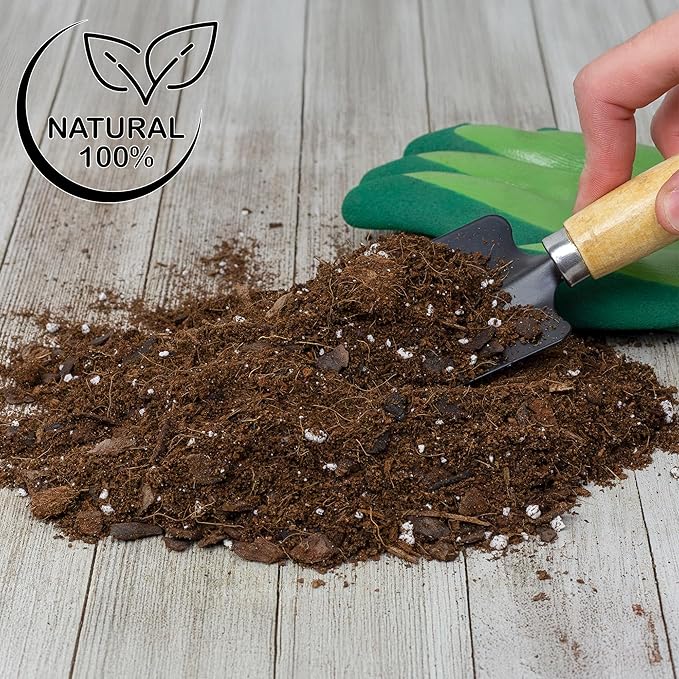 Aroid Plant Potting Soil Mix (8 Quarts), for Pothos Devil's Ivy, ZZ Plant, Chinese Evergreen, Dumb Cane, Philodendron, Syngonium, Alocasia, Colocasia Etc.