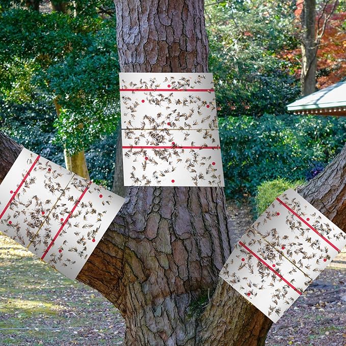 Qualirey 6 Rolls Spotted Lantern Fly Traps 30 Feet Each Roll Fly Tree Trap Sticky Strips Outdoor Fruit Glue Strips Disposable Tape Indoor Paper Sheets for Protecting Trees(White)