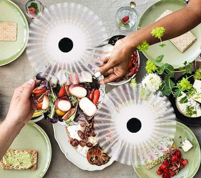 Fly Swatter for Outside/Inside Meal, Picnic, Barbeque, Events - Battery Operated Food Spinning Fan (Black Color, 2pcs)