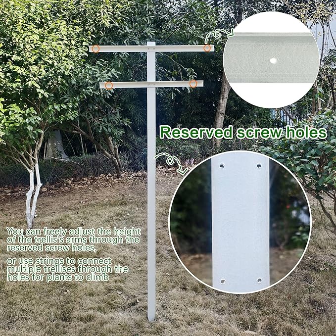 MRGARDEN Raspberry Trellis with Adjustable Arms, Raspberry Stake, Vineyard Trellis 1 Pack