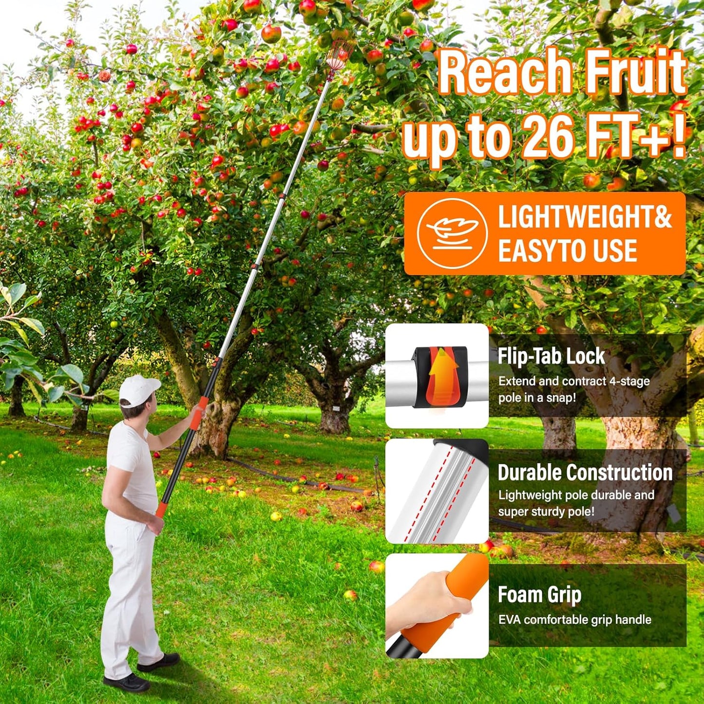 26FT Reach Fruit Picker Pole with Basket Telescoping,Apple Picker Pole with Basket,Lightweight Aluminum Pole Fruit Catcher for Trees,Orange Picker Suit for,Pear,Lemon,Mango,Guava,Avocados