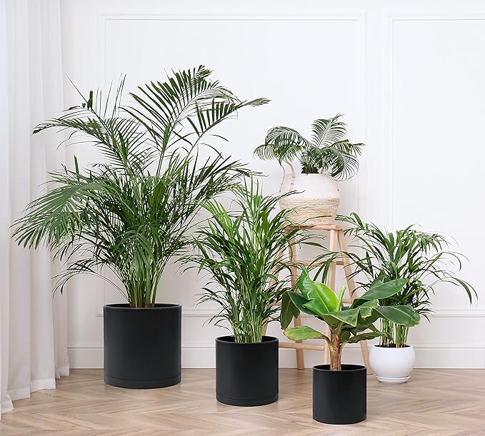 D'vine Dev 8 Inch 10 Inch 12 Inch, Set of 3 Plastic Planter Pots for Plants with Drainage Hole and Seamless Saucers, Black Color, X-Large, 74-V-B-5