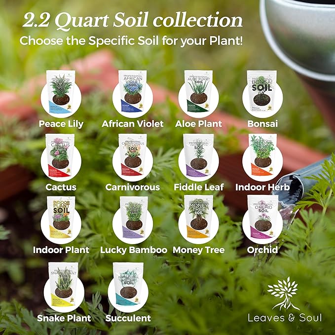 Professional Snake Plant Soil | Large 2.2 Quarts Ready to Use for Snake Plants | Peat Moss, Coco Coir, Perlite, Dolomite | Made in USA