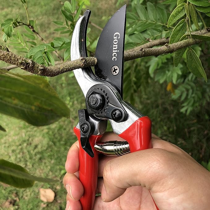 gonicc 8" Professional Sharp Bypass Pruning Shears (GPPS-1002), Tree Trimmers Secateurs,Hand Pruner, Garden Shears,Clippers For The Garden, Bonsai Scissors, Loppers