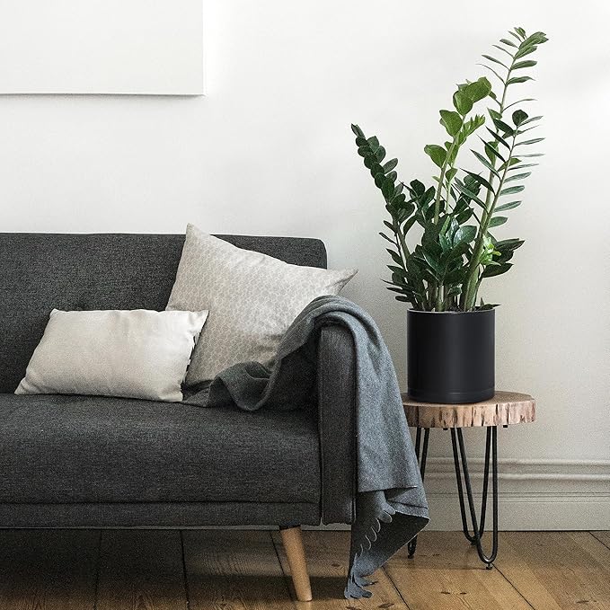 D'vine Dev 8 Inch Plastic Planter Pots for Plant Pot with Drainage Hole and Seamless Saucers, Black Color, 74-X-B-1