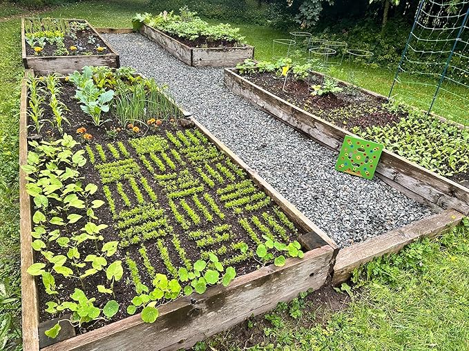 Seeding Square, Seeding Circle and The Row Seeder - All Seed Spacers in one Bundle