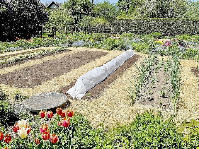 Blue Mountain Hay | Organic Garden Straw (25 lb) | Natural Mulch for Gardening, Flower Beds, Yard Landscaping, New Lawn Grass Seeding, Composting | Covers up to 375 sq ft