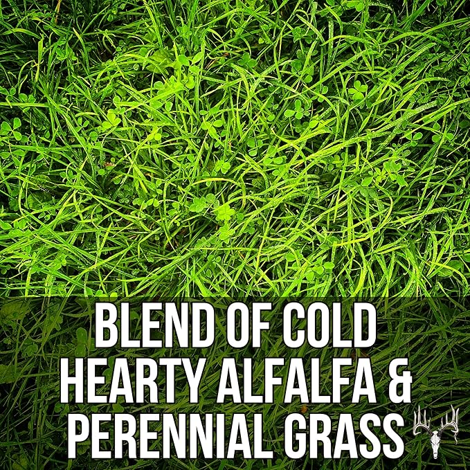 Memas Moo Mix, 8LB EcoPack, Farm Pasture Seed Blend for Horse, Cattle, Pig, Goat, Chicken, Duck, Sheep & Livestock, Grow Alfalfa & Perennial Grasses Fields, Graze Resistant, Cold Tolerant