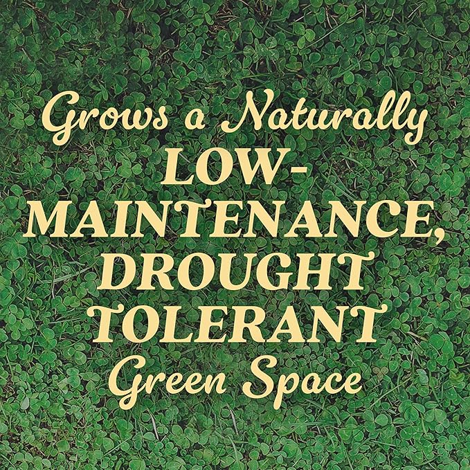 O.M. Scott and Sons Clover Seed, Lawn Seed Grows a Naturally Low Maintenance, Drought-Tolerant Lawn, 1,000 sq. ft., 2 lb., 2-Pack