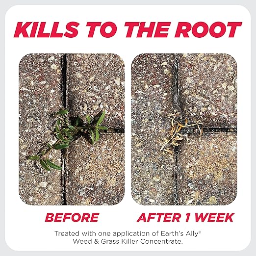 Earth's Ally Weed and Grass Killer Concentrate 20 oz | Safe, Pet-Friendly Natural Weed Control Spray for Patios, Driveways & Sidewalks, Makes 1 Gallon