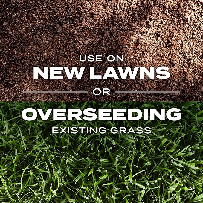 Scotts Turf Builder Rapid Grass Southern Gold Blend for Tall Fescue Lawns, Combination Seed and Fertilizer, 16 lbs.