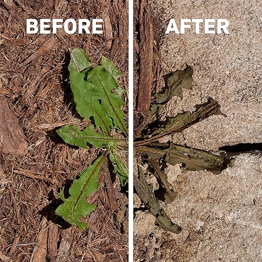 Spruce Weed Killer Spray - Snap & Spray Weed & Grass Killer₂ Powered Starter Kit - Reusable Sprayer with Wand for Spot-Treating Driveways, Gardens & More (64 Oz Bottle)