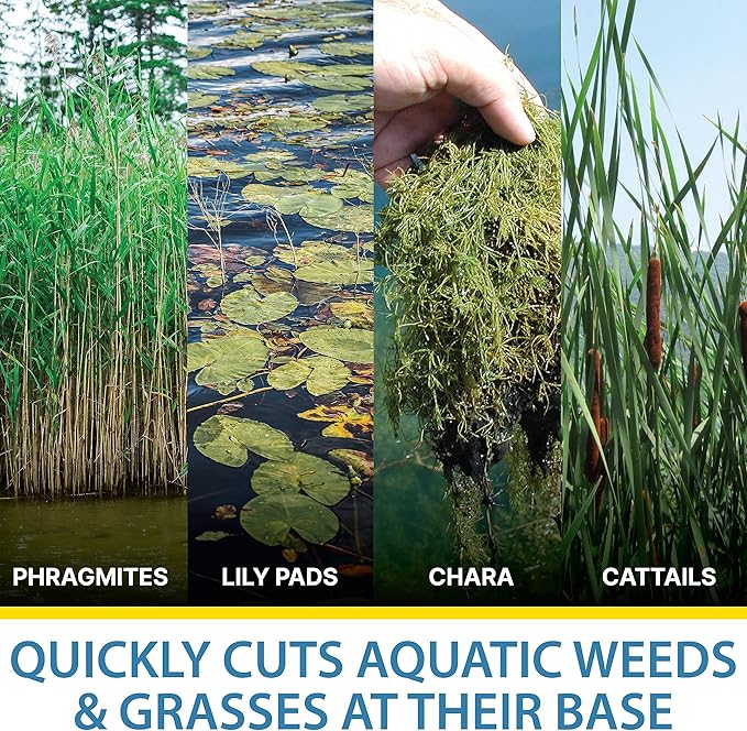 Jenlis The Original Weed Razer, Lake Weed Cutter, Large Pond Aquatic Plant Cutting Tool, Long and Sharp Razor Blades Shear Cattail, Reed, Lilly & Chara Algae, 48 Inch Cut Width, 25 Foot Throw Rope