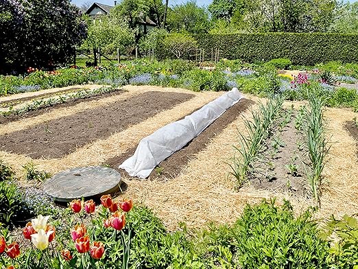 Blue Mountain Hay | Organic Seedless Garden Straw (3 lb) | Natural Mulch for Gardening, Flower Beds, Yard Landscaping, New Lawn Grass Seeding, Composting | Covers up to 30 sq ft